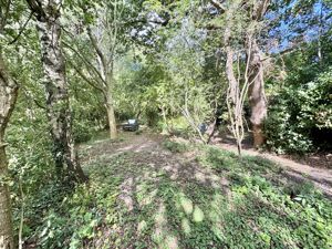 Photo 37- click for photo gallery